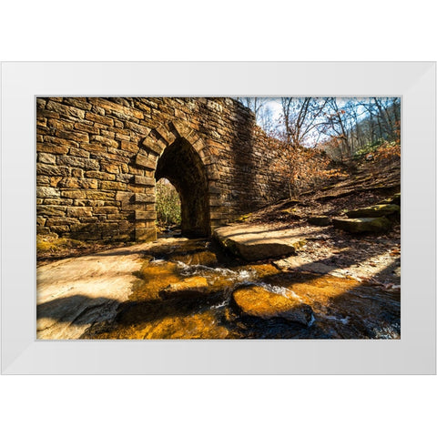 Poinsett Bridge 5 White Modern Wood Framed Art Print by Malone, Will