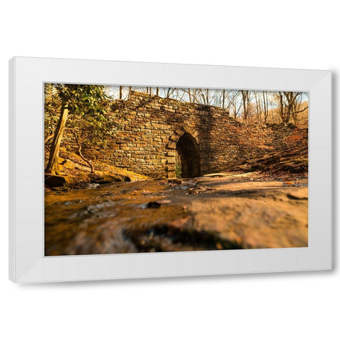 Poinsett Bridge 6 White Modern Wood Framed Art Print by Malone, Will