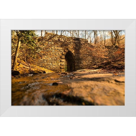 Poinsett Bridge 6 White Modern Wood Framed Art Print by Malone, Will