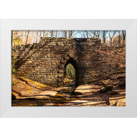 Poinsett Bridge 7 White Modern Wood Framed Art Print by Malone, Will