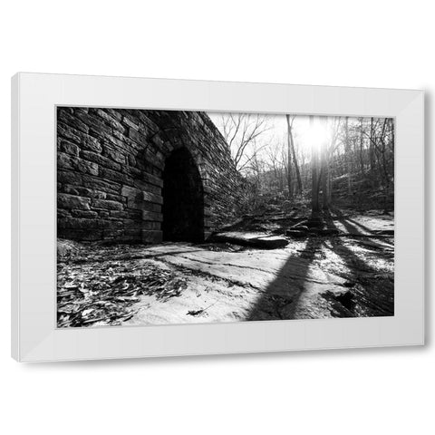 Poinsett Bridge 8 White Modern Wood Framed Art Print by Malone, Will