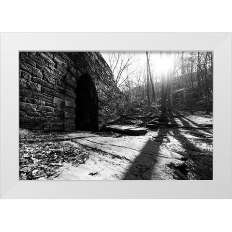 Poinsett Bridge 8 White Modern Wood Framed Art Print by Malone, Will