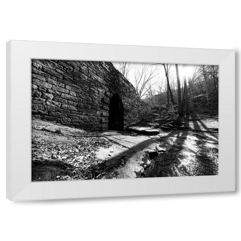 Poinsett Bridge 9 White Modern Wood Framed Art Print by Malone, Will