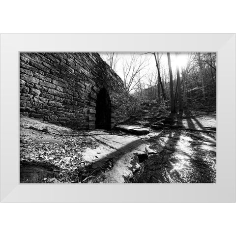 Poinsett Bridge 9 White Modern Wood Framed Art Print by Malone, Will