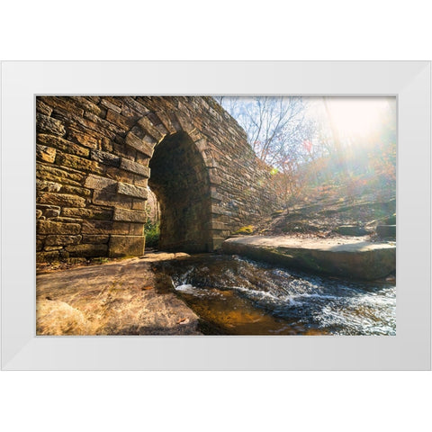 Poinsett Bridge 10 White Modern Wood Framed Art Print by Malone, Will