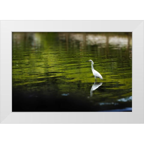 Reflection White Modern Wood Framed Art Print by Malone, Will