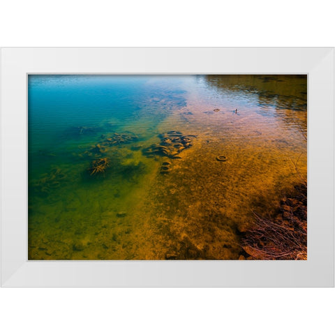 One Manâ€™s Trash White Modern Wood Framed Art Print by Malone, Will