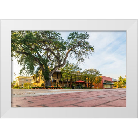 City Hall White Modern Wood Framed Art Print by Malone, Will
