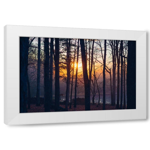 Foggy Sunrise White Modern Wood Framed Art Print by Malone, Will