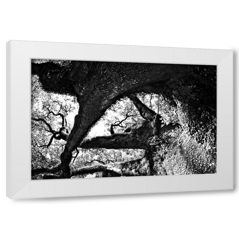 bigoakbw White Modern Wood Framed Art Print by Malone, Will