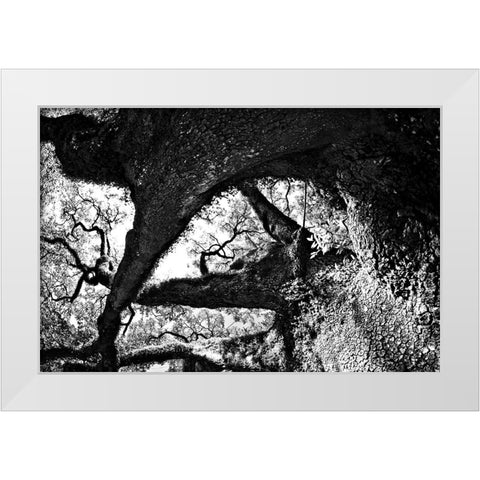 bigoakbw White Modern Wood Framed Art Print by Malone, Will