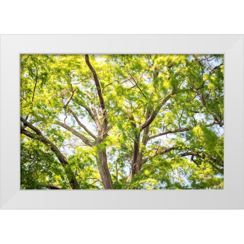 Blowing Leaves White Modern Wood Framed Art Print by Malone, Will
