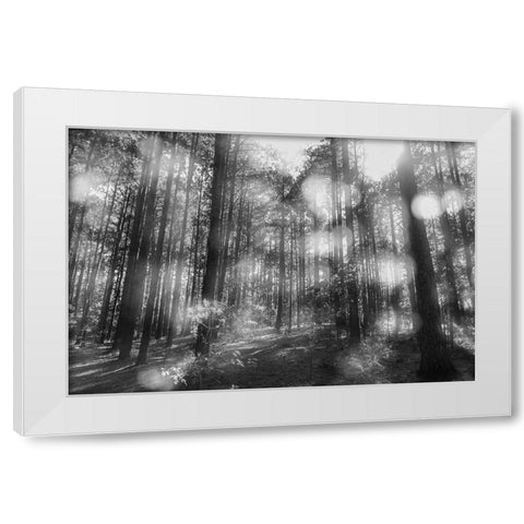 Blurry Forest BW White Modern Wood Framed Art Print by Malone, Will