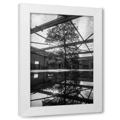 Breakthrough White Modern Wood Framed Art Print by Malone, Will