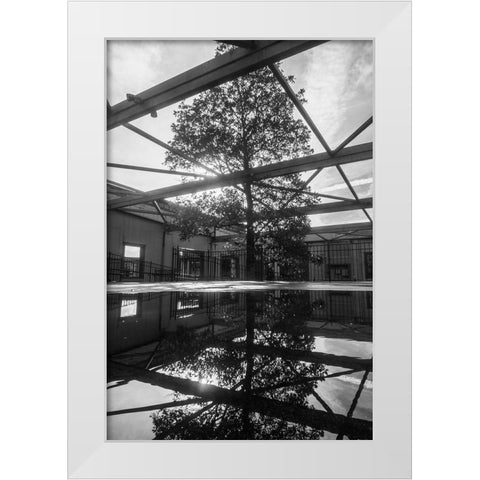 Breakthrough White Modern Wood Framed Art Print by Malone, Will