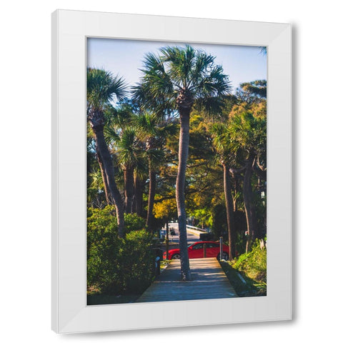 Camaro Palm White Modern Wood Framed Art Print by Malone, Will
