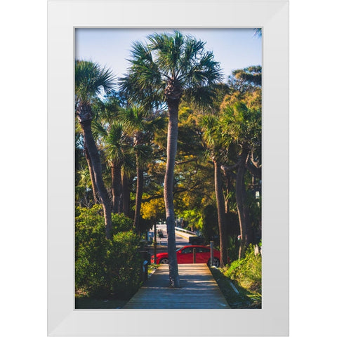 Camaro Palm White Modern Wood Framed Art Print by Malone, Will