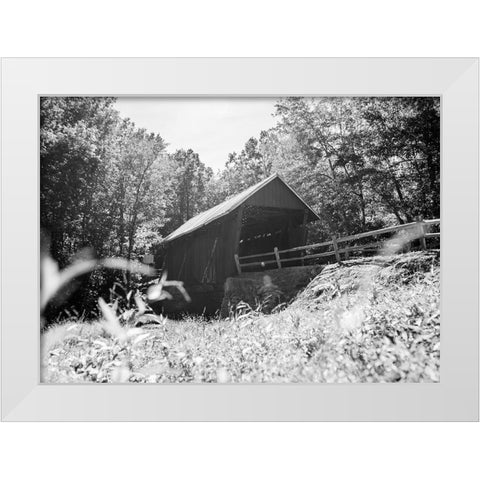 Campbells Covered Monochrome White Modern Wood Framed Art Print by Malone, Will