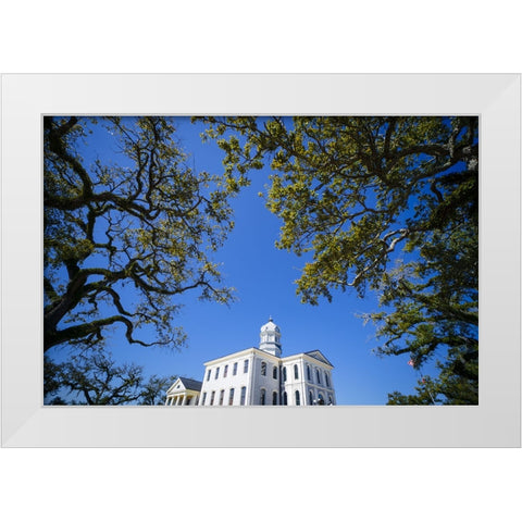 Courthouse 5 White Modern Wood Framed Art Print by Malone, Will