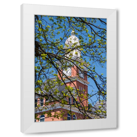 Covered White Modern Wood Framed Art Print by Malone, Will