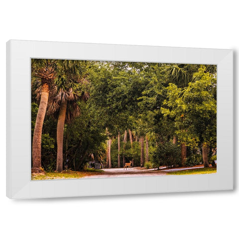 Deer Canopy White Modern Wood Framed Art Print by Malone, Will