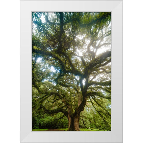 Dream Tree Vertical White Modern Wood Framed Art Print by Malone, Will