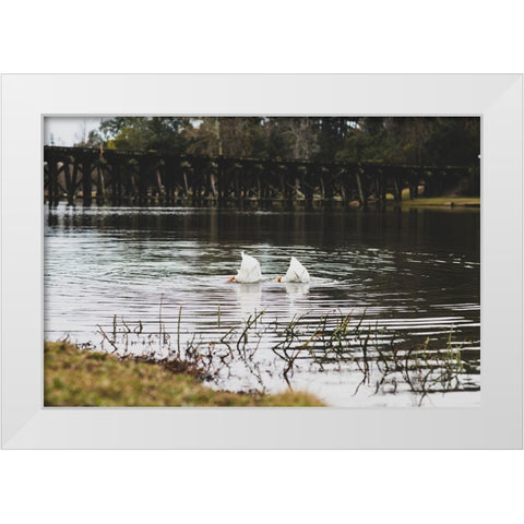 Duck Tails White Modern Wood Framed Art Print by Malone, Will