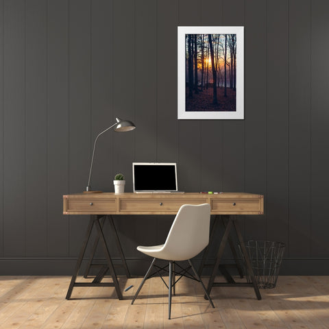 Foggy Sunrise Vert White Modern Wood Framed Art Print by Malone, Will