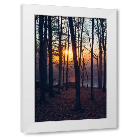 Foggy Sunrise Vert White Modern Wood Framed Art Print by Malone, Will