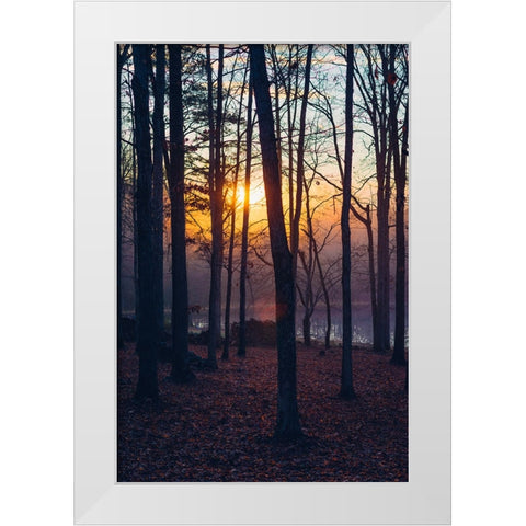 Foggy Sunrise Vert White Modern Wood Framed Art Print by Malone, Will