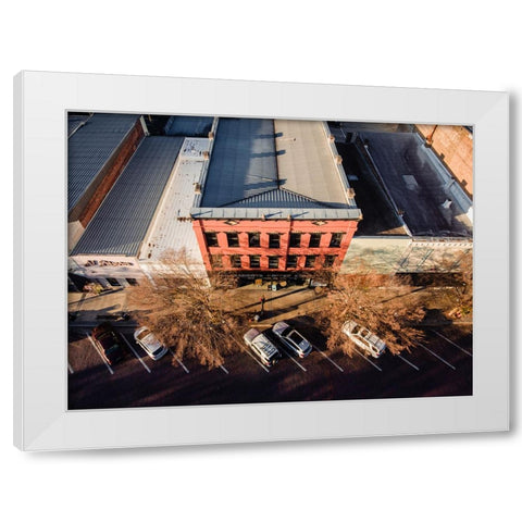 Grassroots Above White Modern Wood Framed Art Print by Malone, Will
