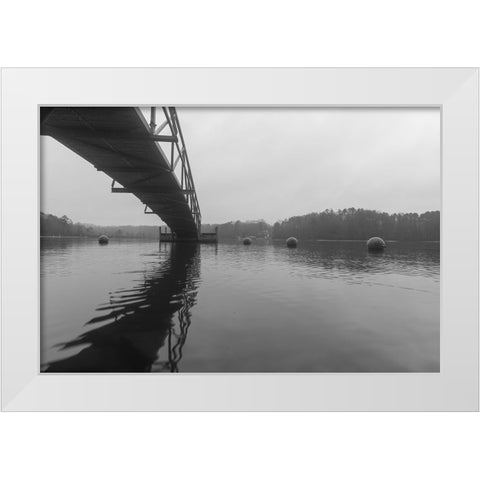 Hartwell Fog 3 White Modern Wood Framed Art Print by Malone, Will