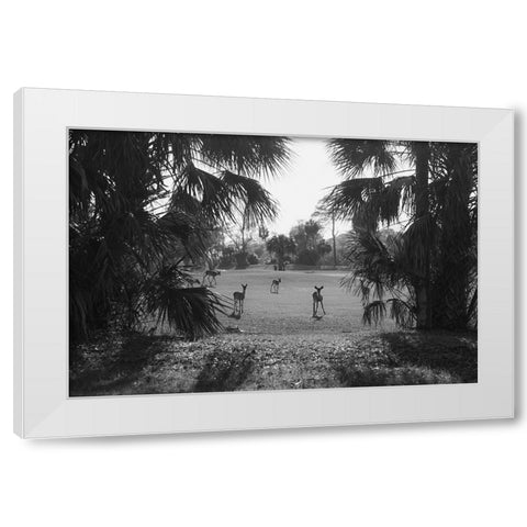 Hey White Modern Wood Framed Art Print by Malone, Will