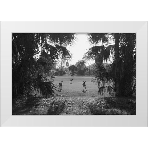 Hey White Modern Wood Framed Art Print by Malone, Will