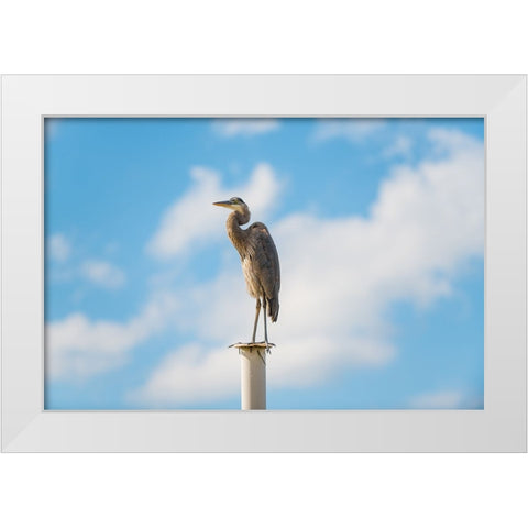 Keeping Watch White Modern Wood Framed Art Print by Malone, Will
