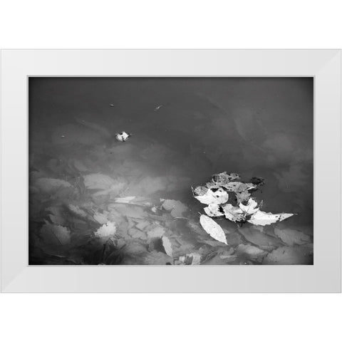 Leaves White Modern Wood Framed Art Print by Malone, Will