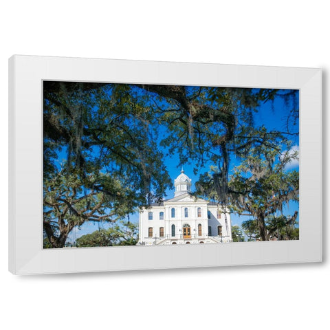 Live Oak Courthouse White Modern Wood Framed Art Print by Malone, Will
