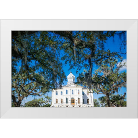 Live Oak Courthouse White Modern Wood Framed Art Print by Malone, Will