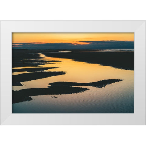 Magic Tide Pools 3 White Modern Wood Framed Art Print by Malone, Will