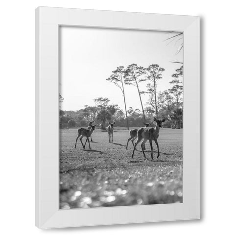 Make Way White Modern Wood Framed Art Print by Malone, Will
