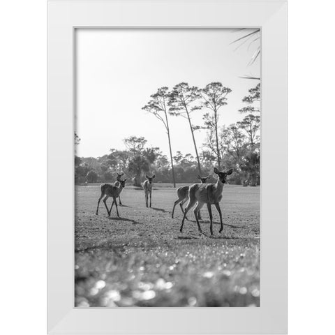 Make Way White Modern Wood Framed Art Print by Malone, Will