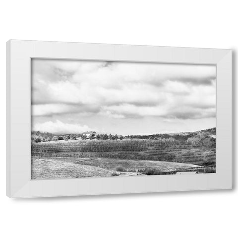 Merciers White Modern Wood Framed Art Print by Malone, Will