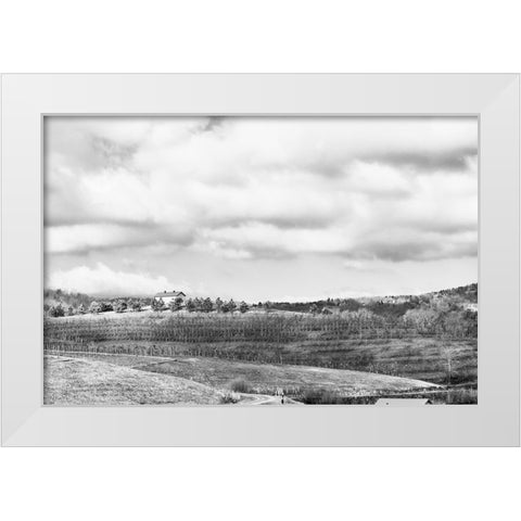 Merciers White Modern Wood Framed Art Print by Malone, Will