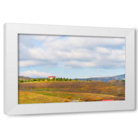 Merciers 2 White Modern Wood Framed Art Print by Malone, Will