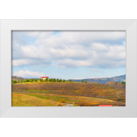 Merciers 2 White Modern Wood Framed Art Print by Malone, Will