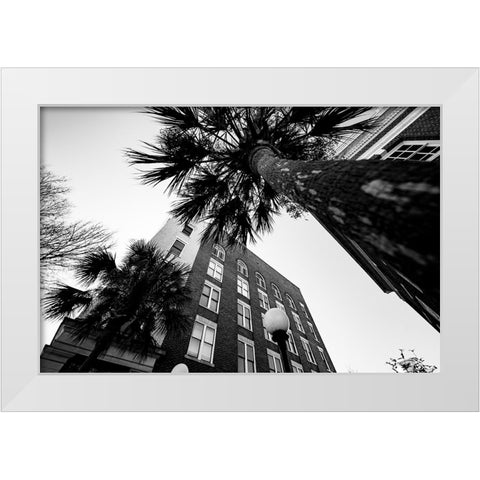 Metro Palm White Modern Wood Framed Art Print by Malone, Will