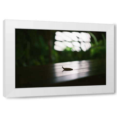 Nightlife snail White Modern Wood Framed Art Print by Malone, Will