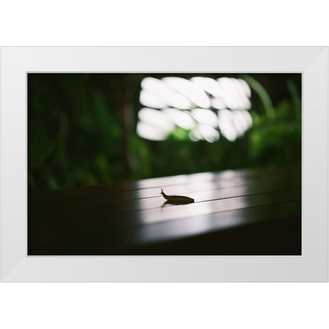Nightlife snail White Modern Wood Framed Art Print by Malone, Will