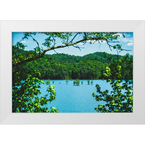 Ocoee Summer White Modern Wood Framed Art Print by Malone, Will