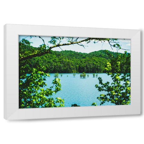 Ocoee Summer 2 White Modern Wood Framed Art Print by Malone, Will